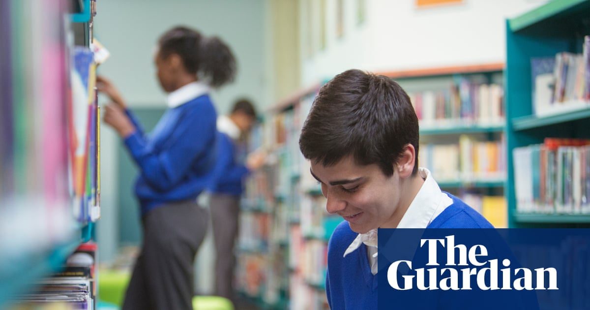 National Year of Reading should extend to a decade, inquiry says