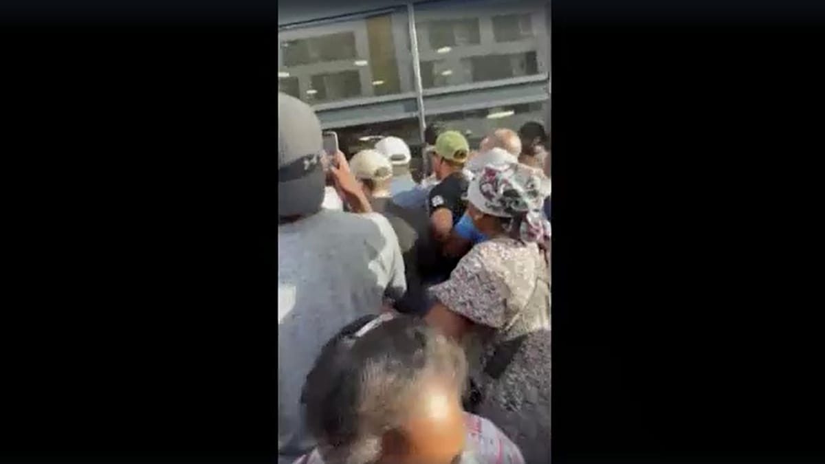 Air conditioner rush: Scuffles break out at Lidl stores across France