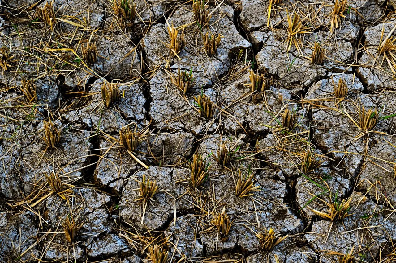 How the summer's devastating drought has hit life in Switzerland