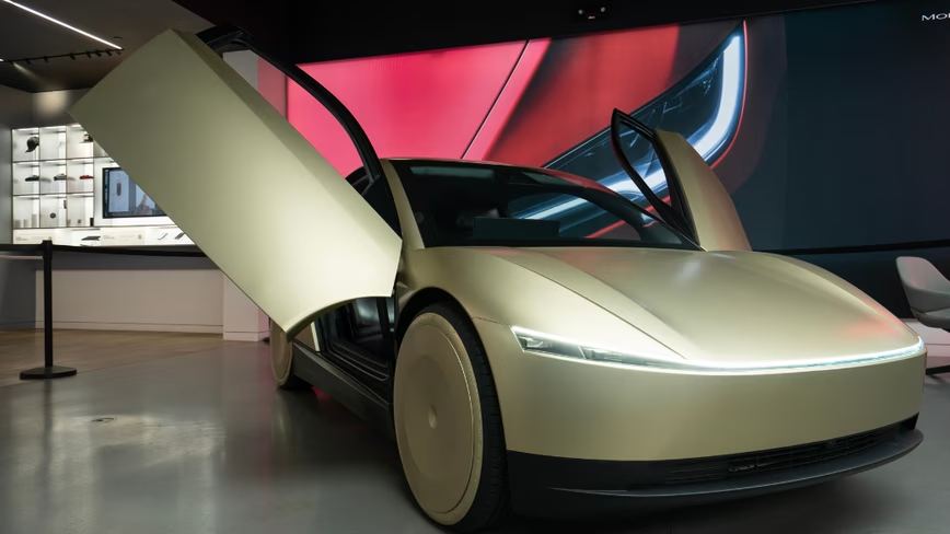 Musk says Tesla’s robotaxis still cannot reliably see pets at night