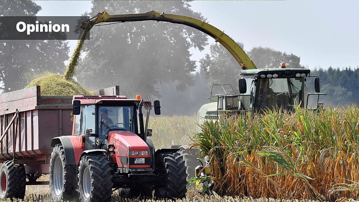 Degraded soils : Europe is losing more than €50 billion annually but AI could help