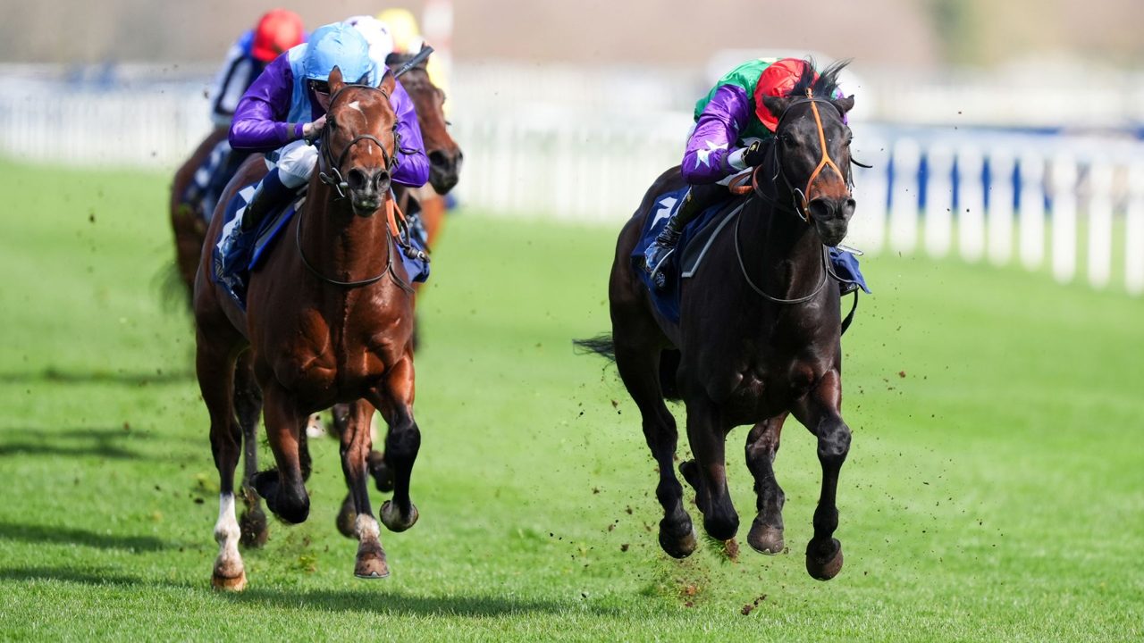 Emerald Harmony looks to follow up at Doncaster