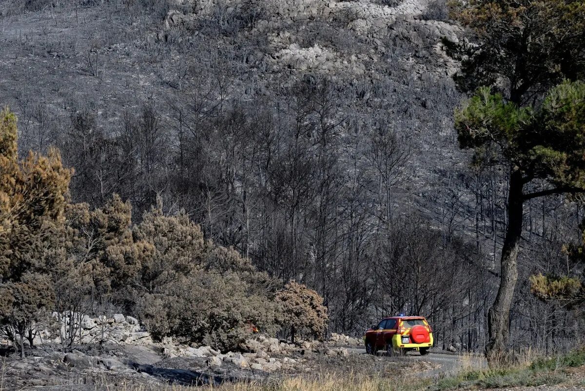 Dozens of départements in France face 'high risk' of wildfires