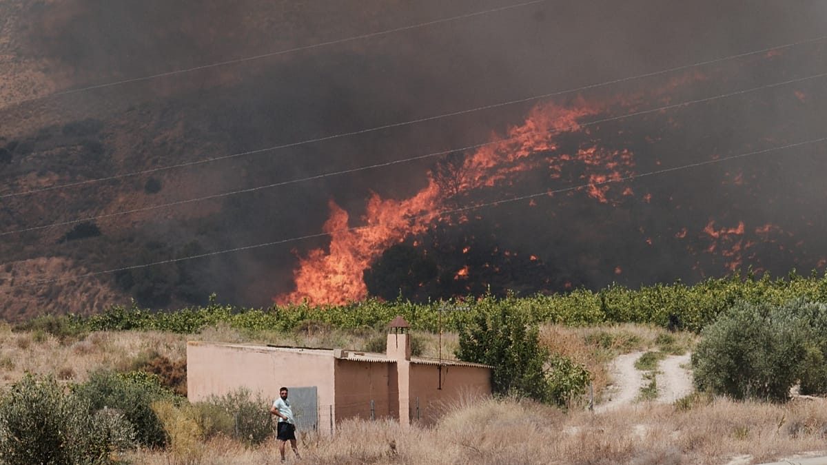 Majority of 12 victims of Spain wildfires believed to be foreigners, officials say