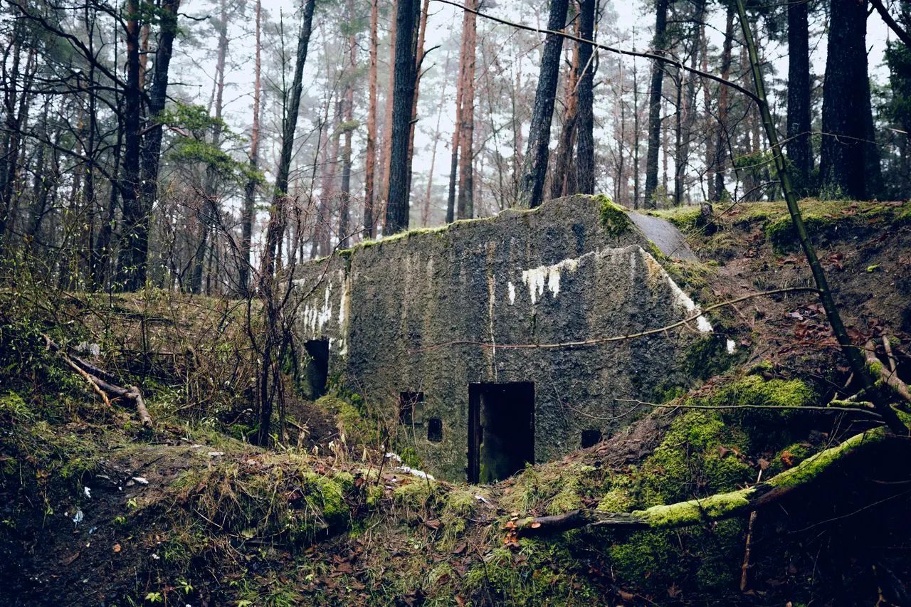 Switzerland considers reopening its old military bunkers