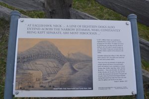 The Dog Line in Eaglehawk Neck, Australia