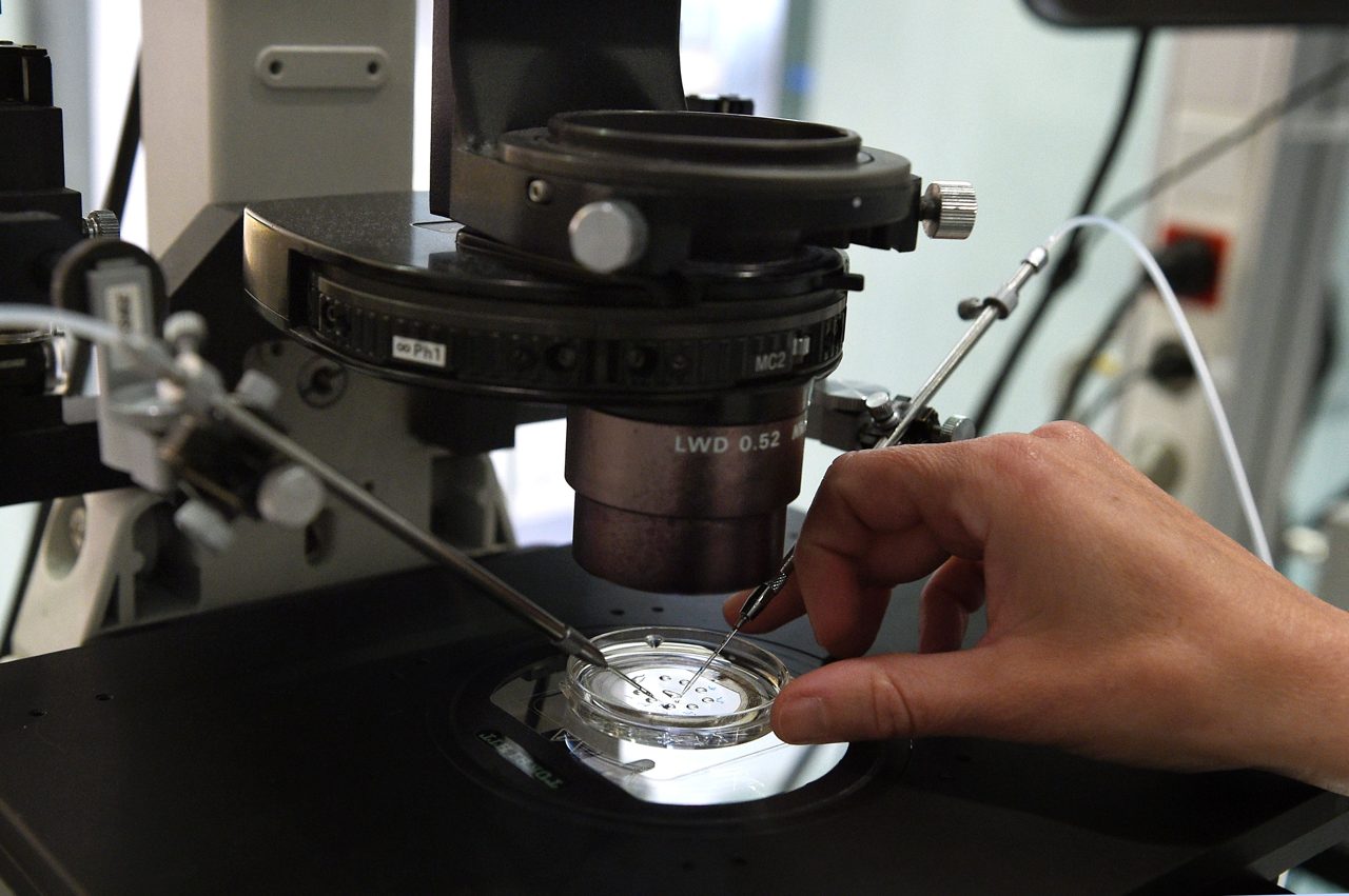 The First Human Trial to Reverse Aging Just Got FDA Clearance: What Epigenetic Reprogramming Actually Is