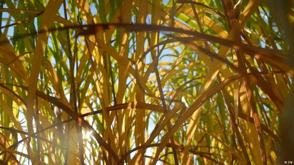 Creative climate messaging and other eco wins of the week