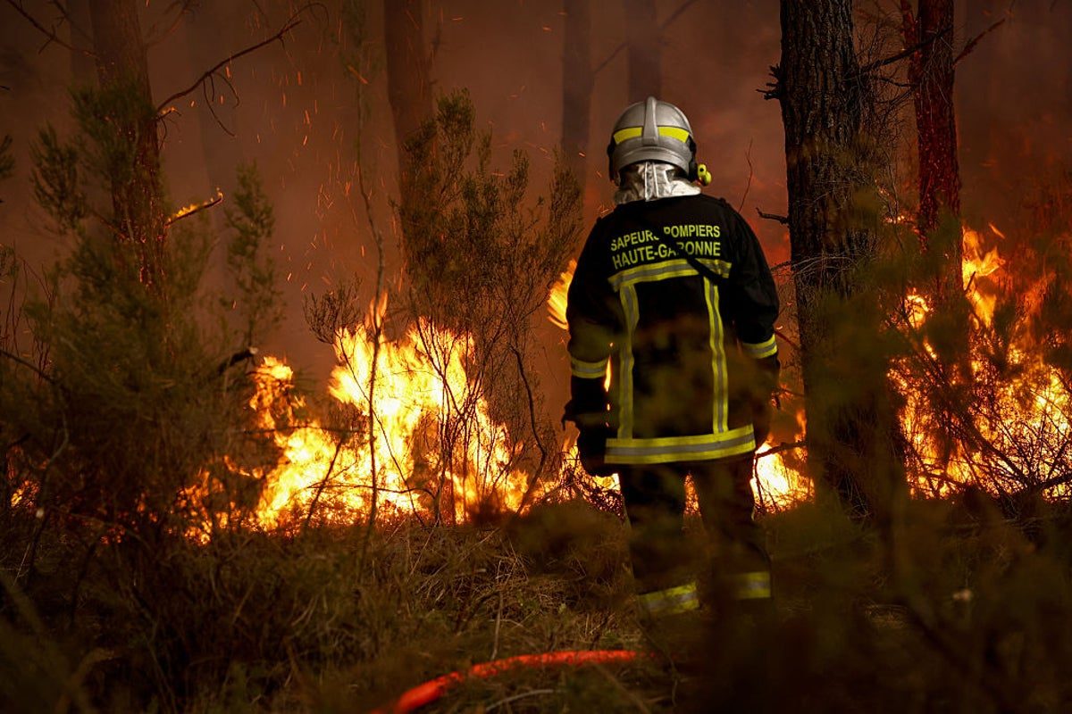Wildfires burn near France’s Bordeaux as drought puts vineyards under pressure