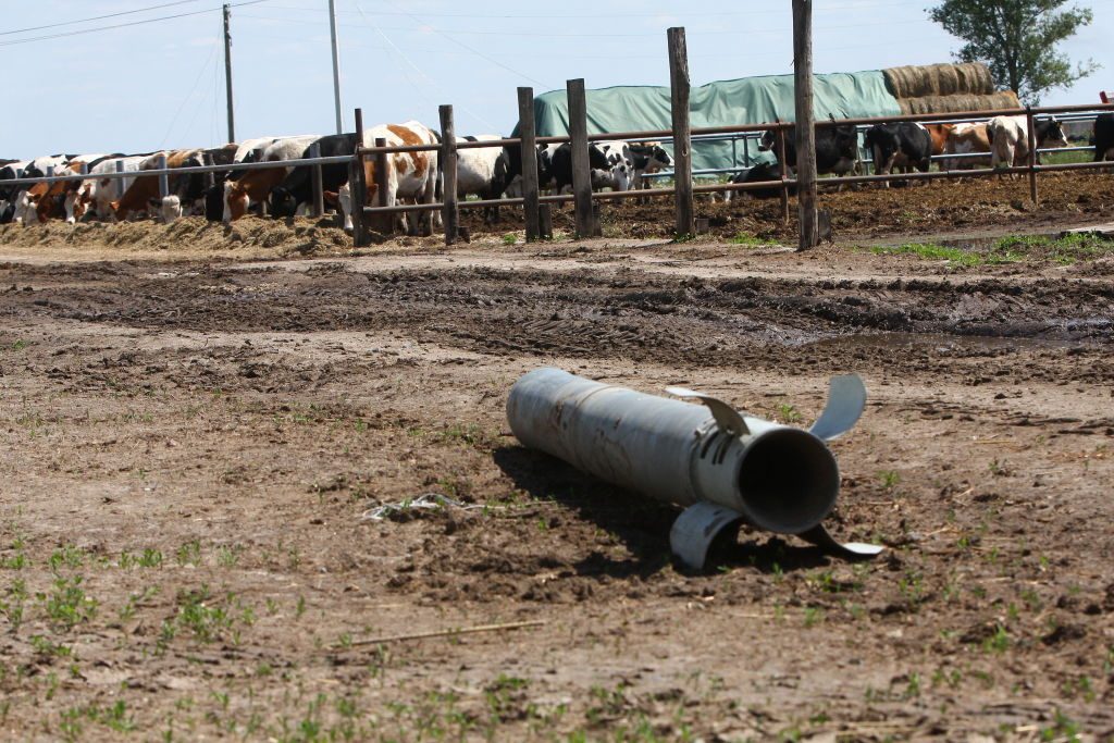 Ukraine’s farmers seek longer transition for EU rules and CAP aid
