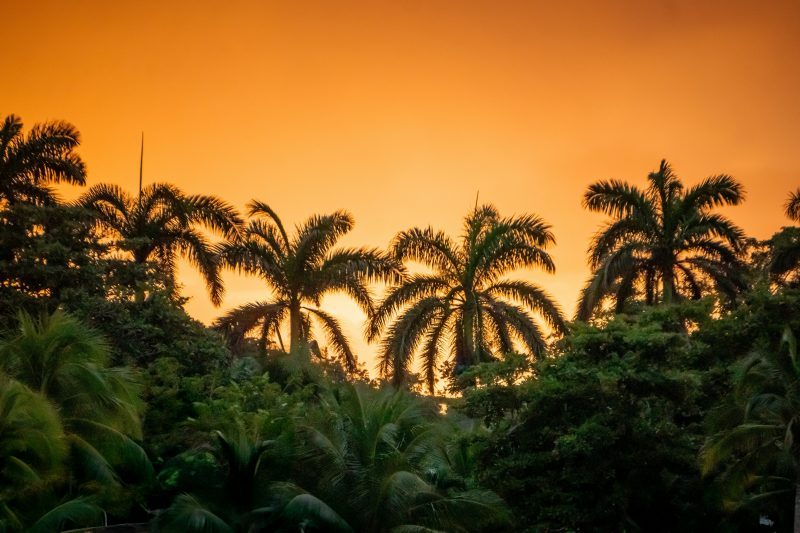Tropical escape to Jamaica ️ Flights from Amsterdam to Montego Bay for €521