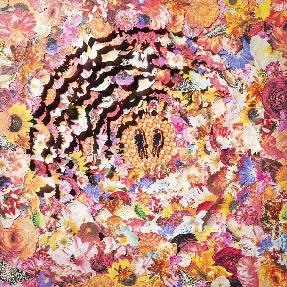 Bimbo Announce Debut Album The Bimbonacci Sequence: Hear “Chewing Glass”