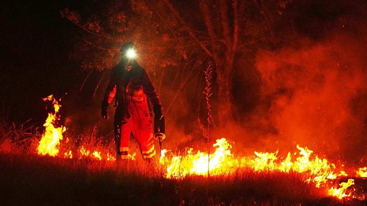 Europe is burning: How bad could this wildfire crisis get?