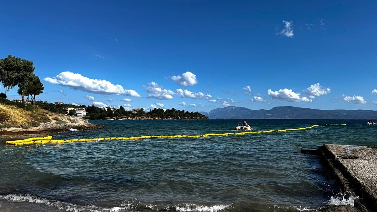Floating barriers used against jellyfish and pufferfish in Greece: Do they work?