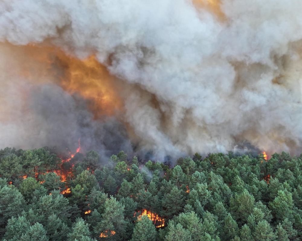 Paris forest fire disrupts A6 and SNCF as climate costs mount