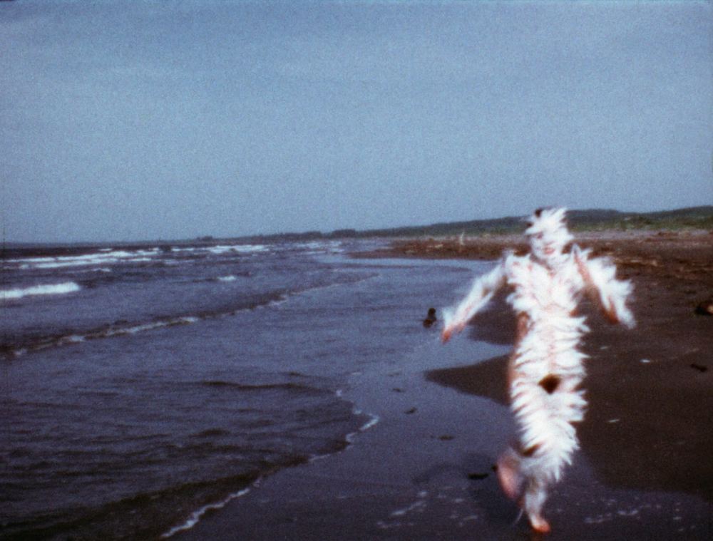 Feathered frolics, webcam landscapes and The Hay Wain, the week in art