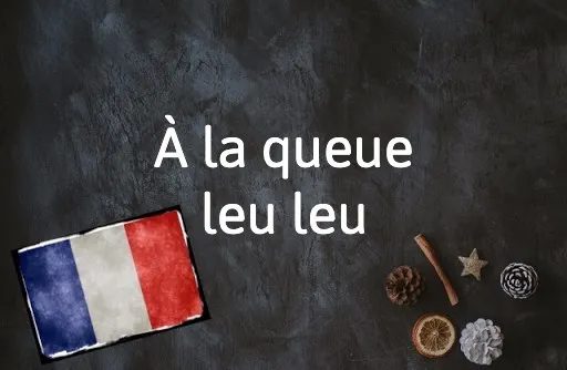 French Expression of the Day: À la queue leu leu