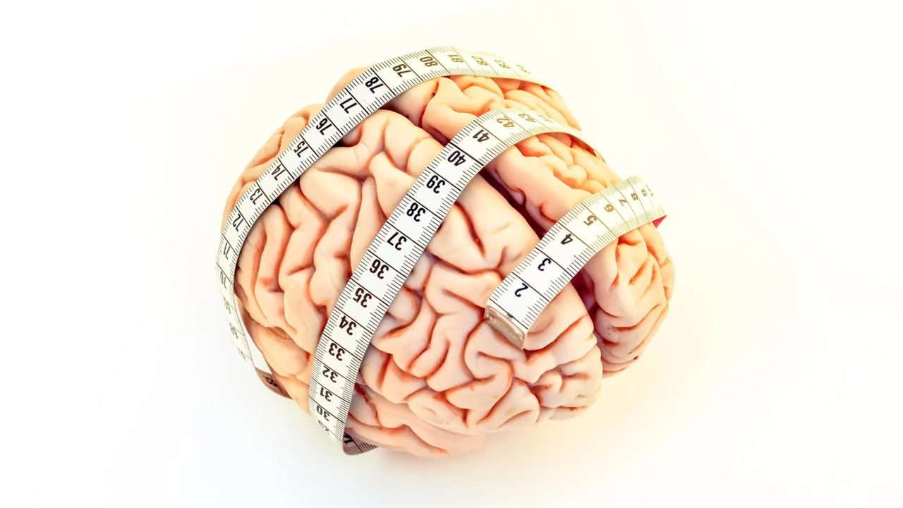 Frequent midlife TV viewing linked to later brain shrinkage