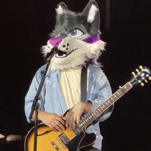 Noah Kahan Celebrates Furries At Pittsburgh Show