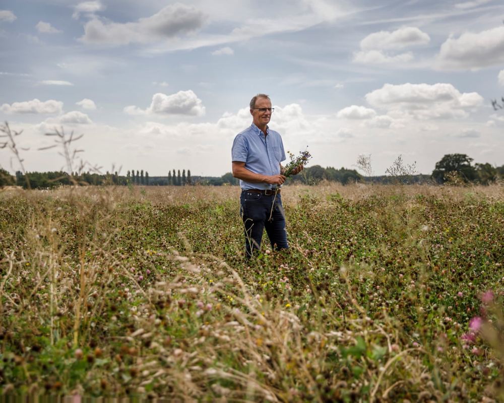 UK heatwave drives surge in Spanish vegetable imports