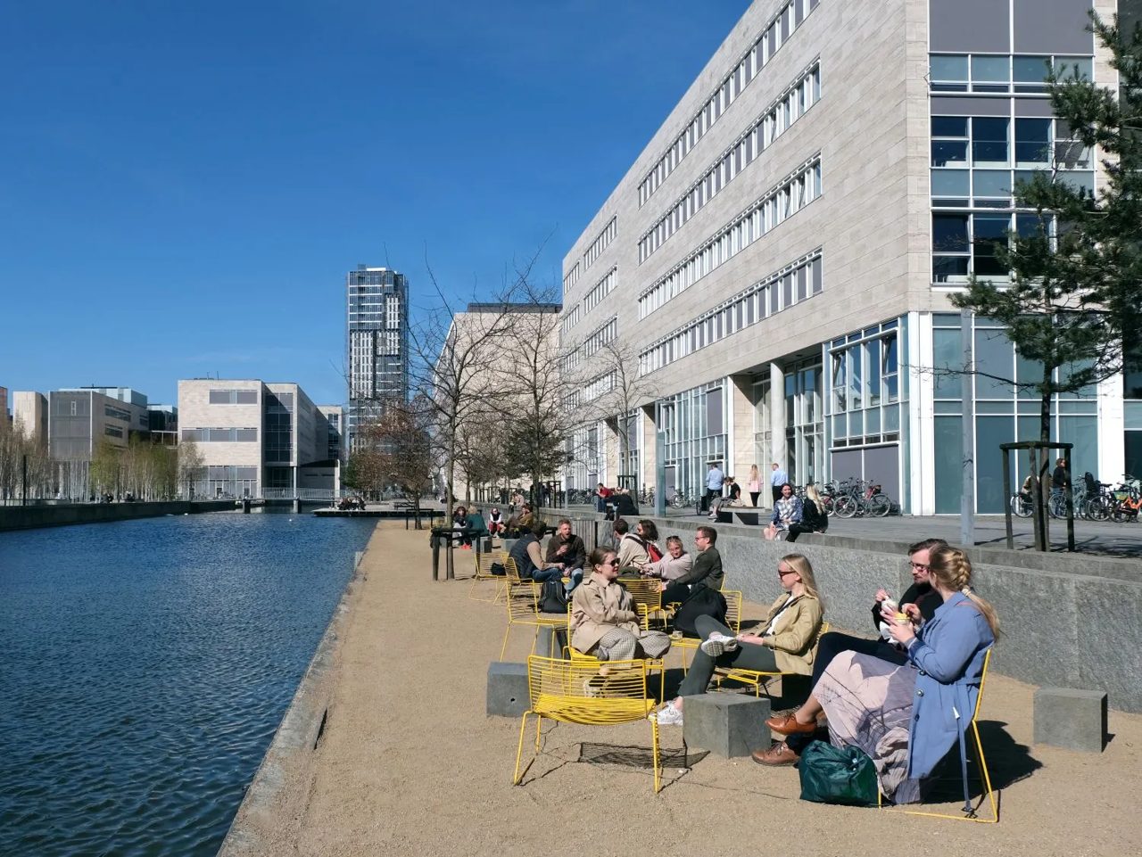 The 3 things you need to know about getting into a Danish university