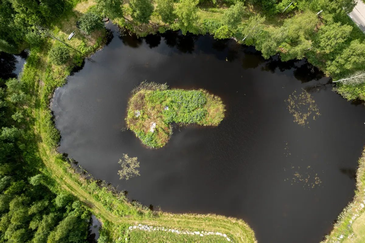 Swedish man goes viral after building own island in the shape of a penis