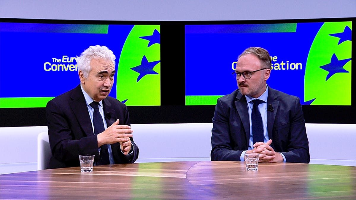 Exclusive: ‘More grids, more electricity, less fossil fuels,’ energy leaders tell Euronews