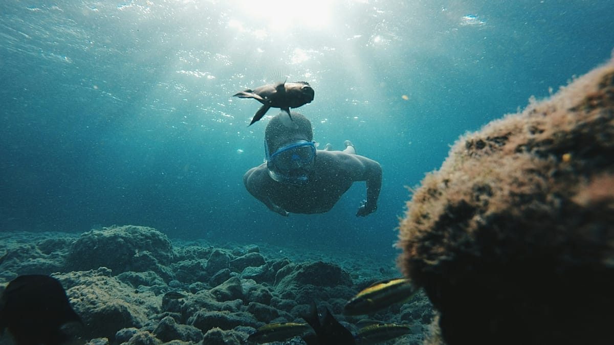 Canary Islands' new voluntary tourist tax will fund local sustainability projects