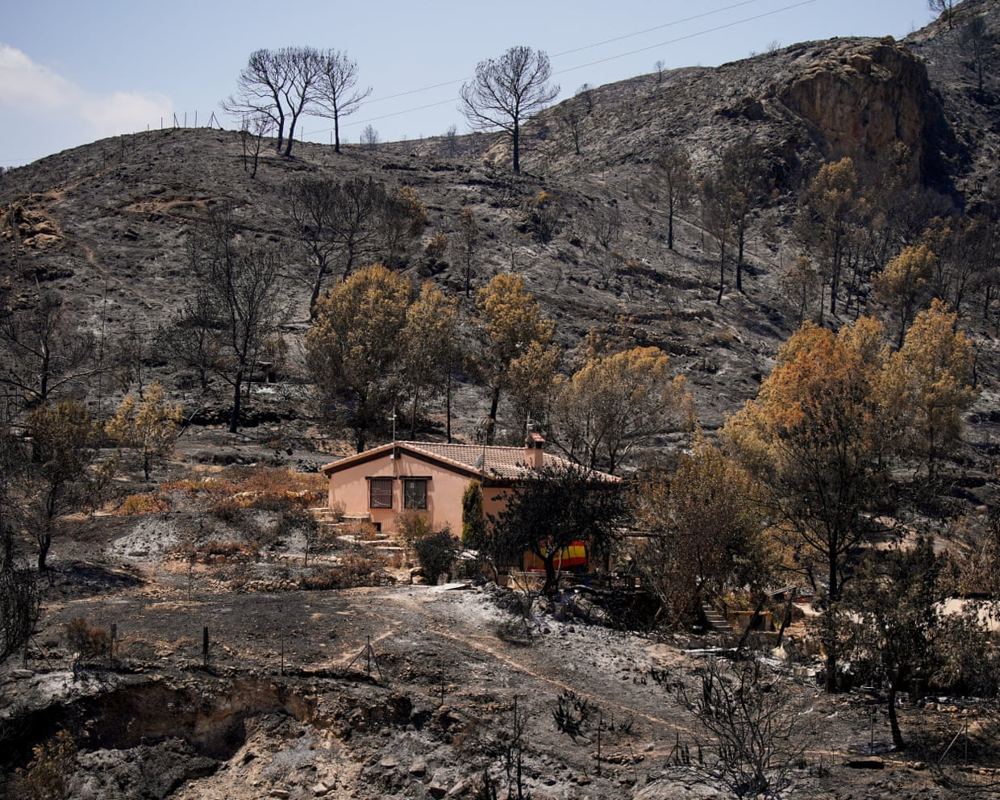 Thirteen killed in Almeria as Spain records worst wildfire year
