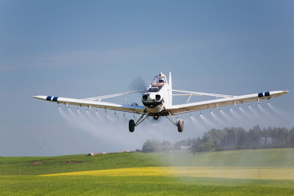MEPs back stricter pesticide residue limits on imports