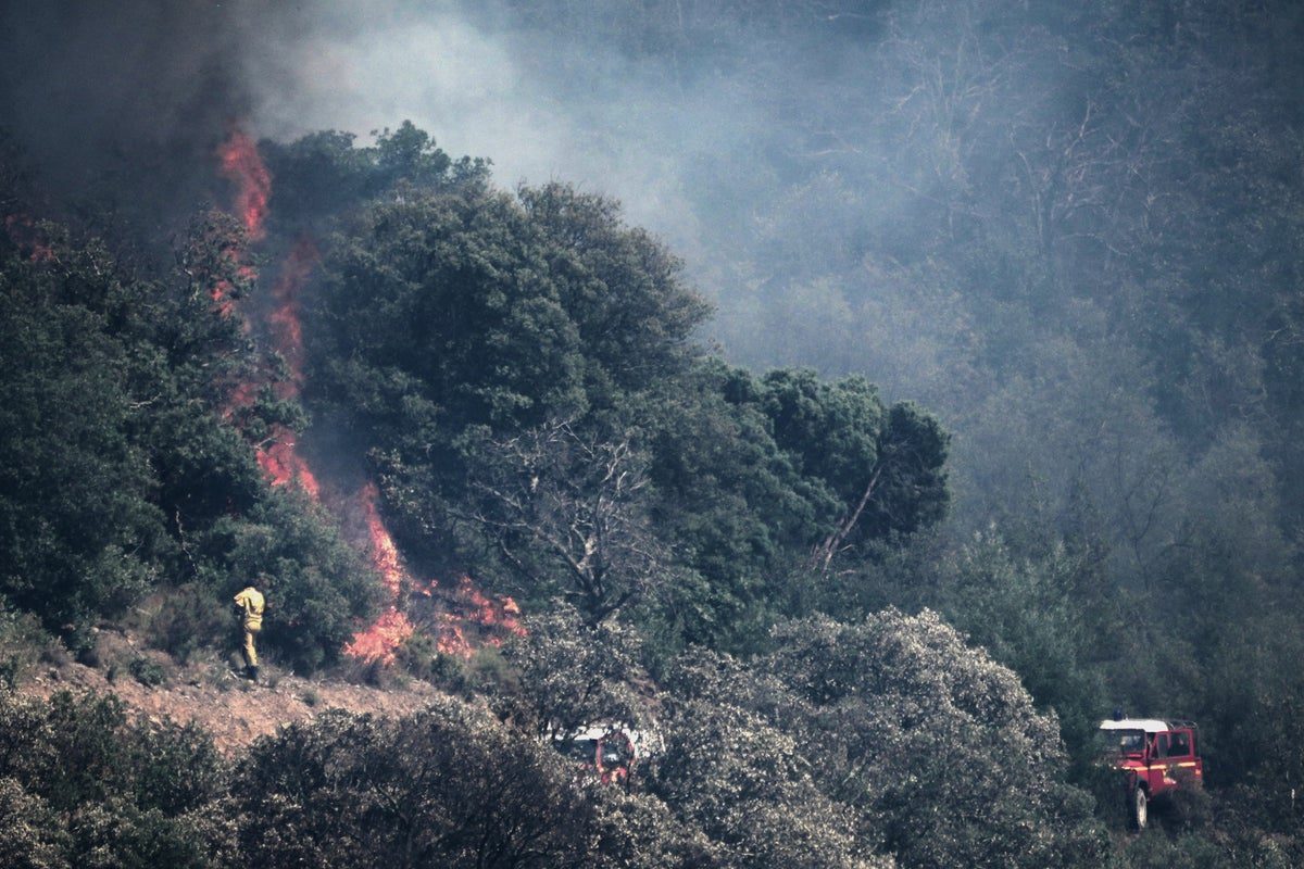 Major fire in Fontainebleau forest near Paris forces evacuations and closes highway