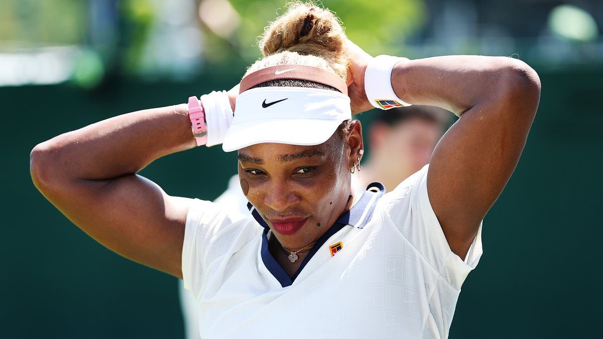 Play stopped at sweltering Wimbledon qualifying! Electronic line calling system fails in the London heat - just a year after they sacked all their human line judges