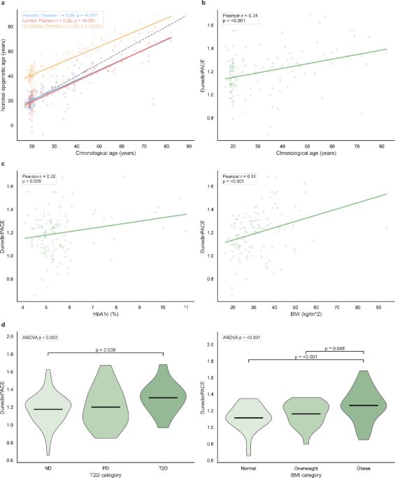 Gut microbiome signatures associate with DNA methylation-based biological aging