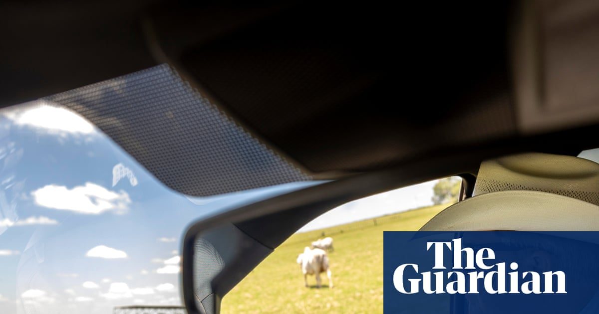 Farm workers at higher risk amid screwworm outbreak in US south-west