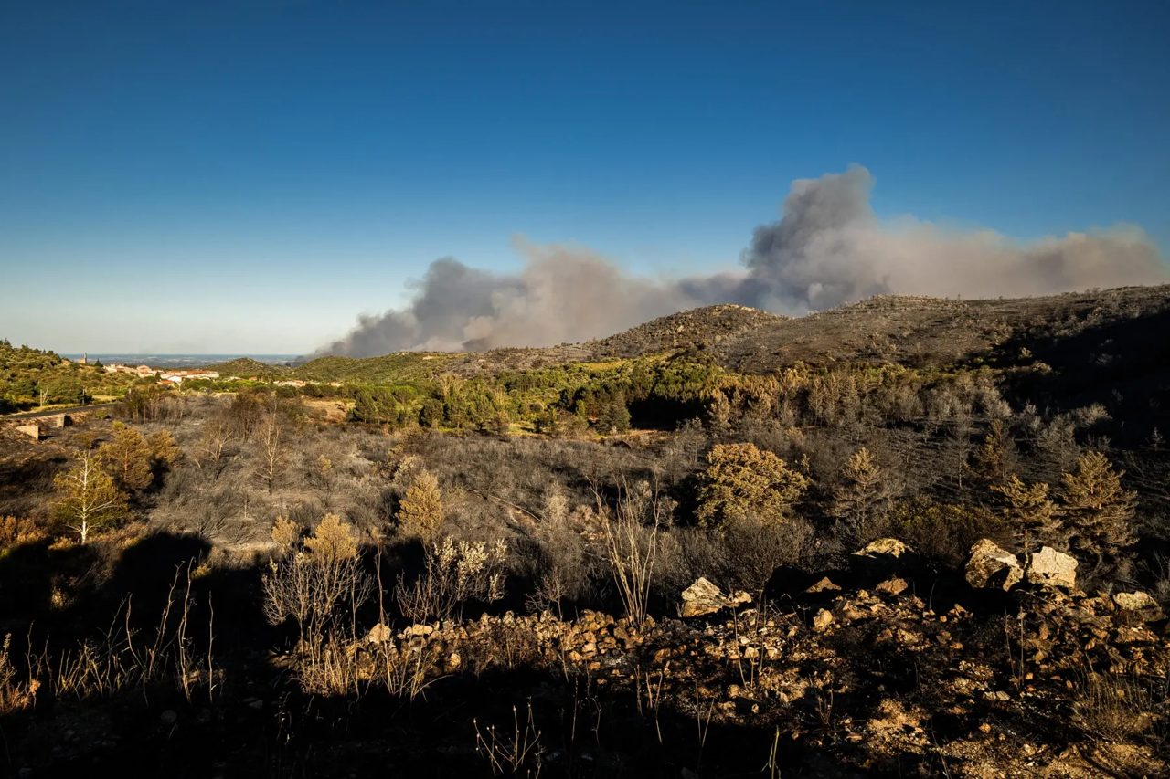 LATEST: 61 French départements put on orange heatwave alert as wildfires continue