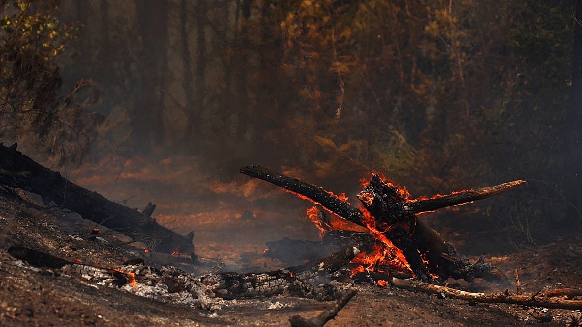 Thousands evacuated as wildfire spreads in southwestern France