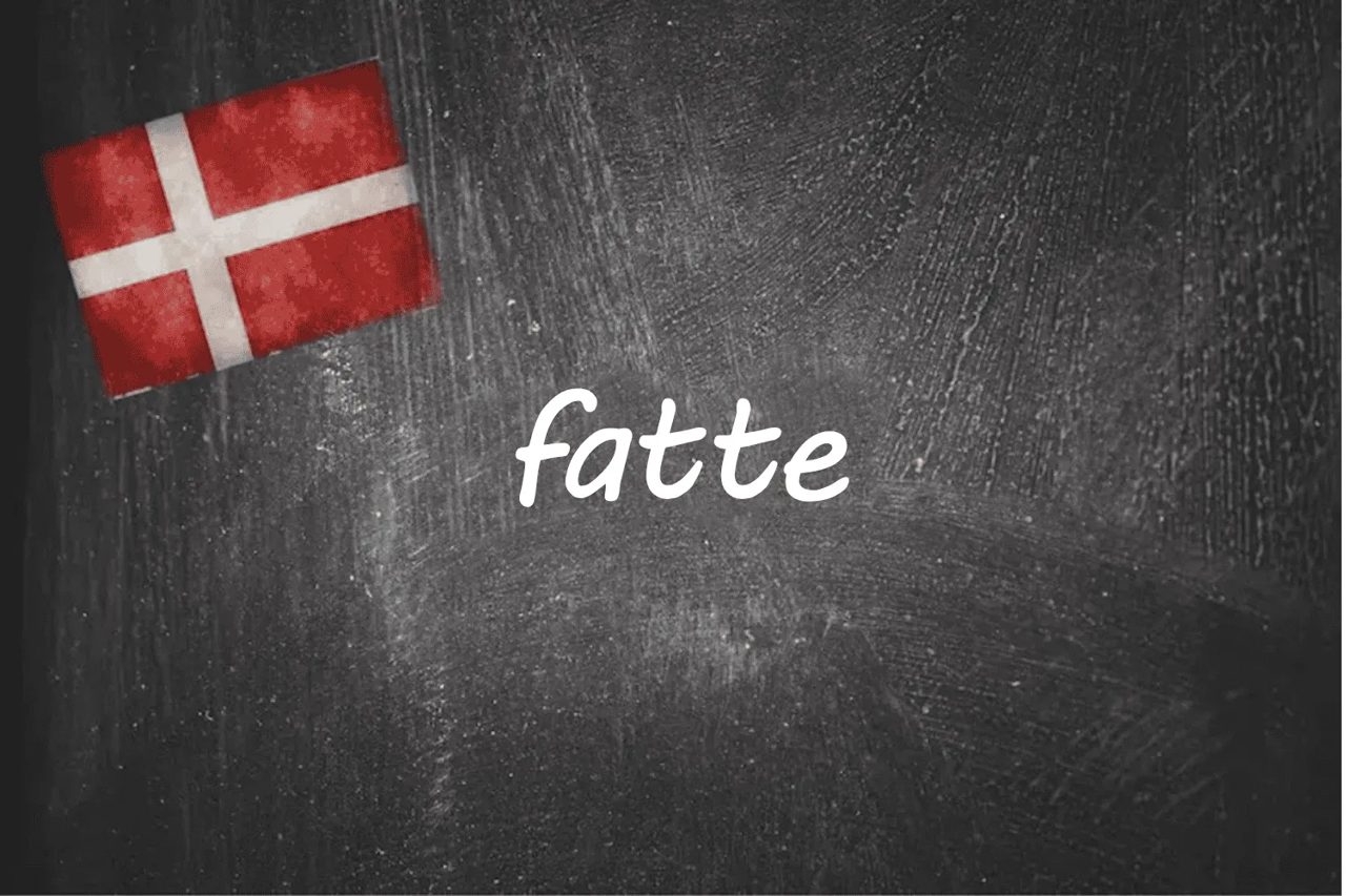 Danish Word of the Day: Fatte