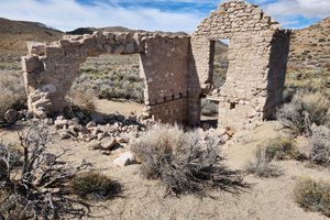 Palmetto in Goldfield, Nevada