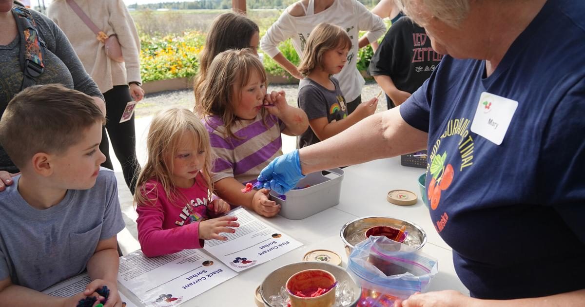 Far North Currant Festival brings out flavor, guests