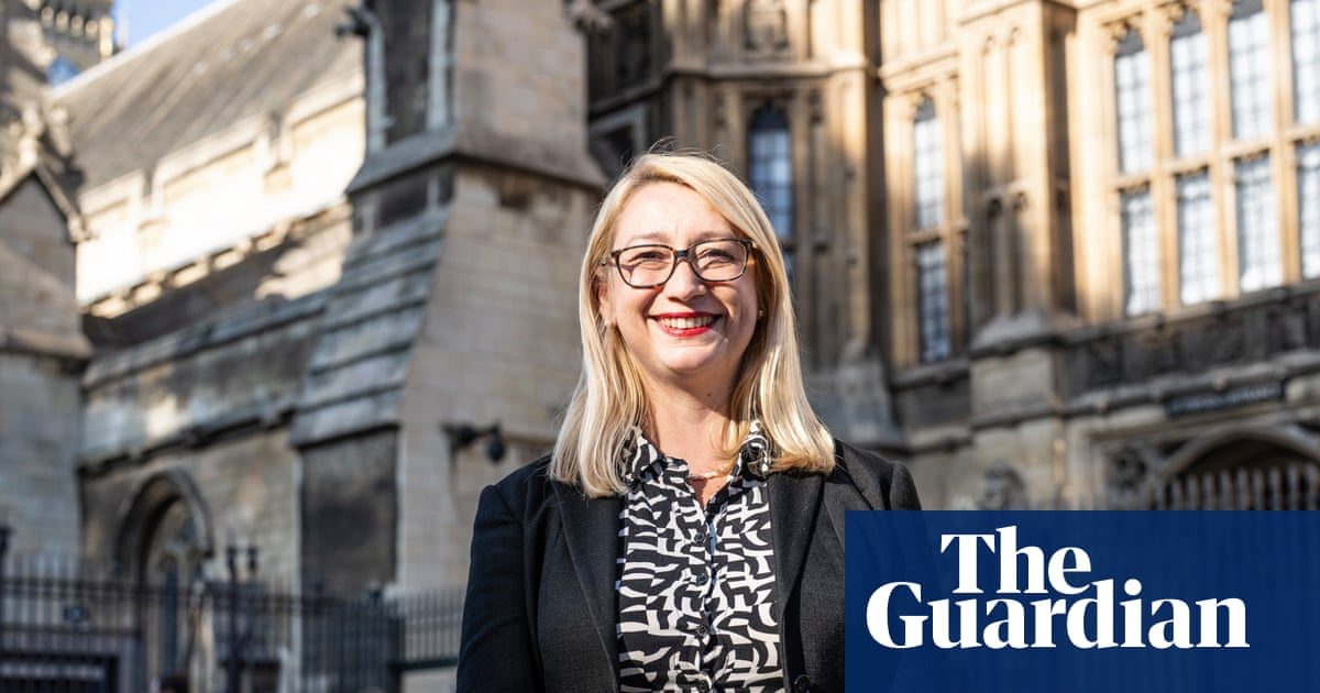 Labour MP suing Elon Musk’s xAI says chatbot added own fake abusive content