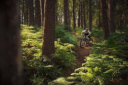 Video: 69 Seconds of Sam Reynolds Shredding in Surrey