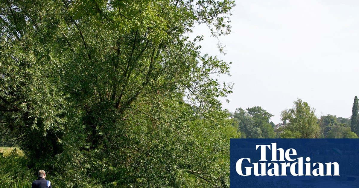 Art trails, swimming spots and punt safaris, all easily accessible from Cambridge’s new train station