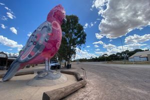 The Big Galah in Kimba, Australia