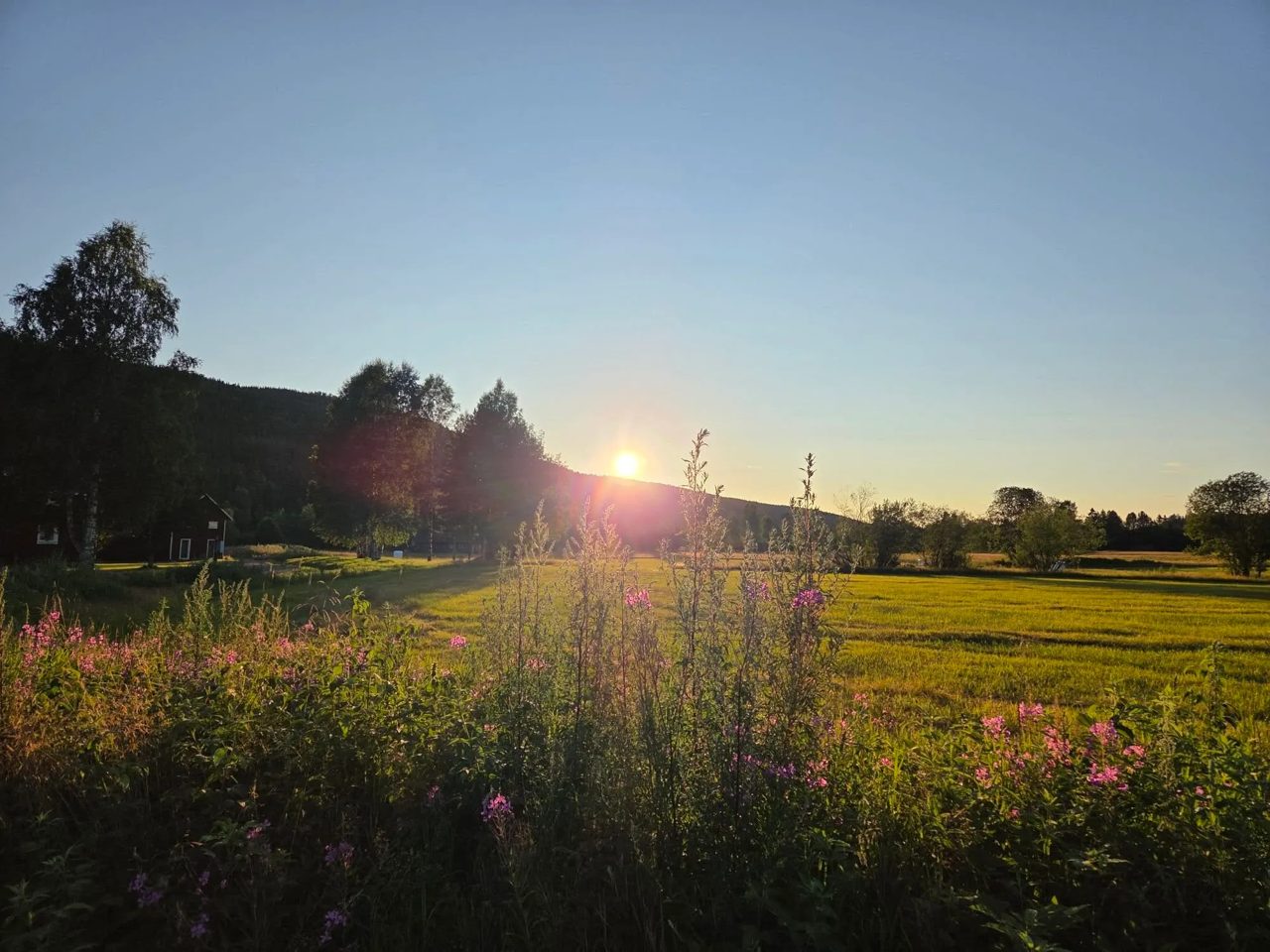 In pictures: The Local readers and staff share their best summer holiday photos