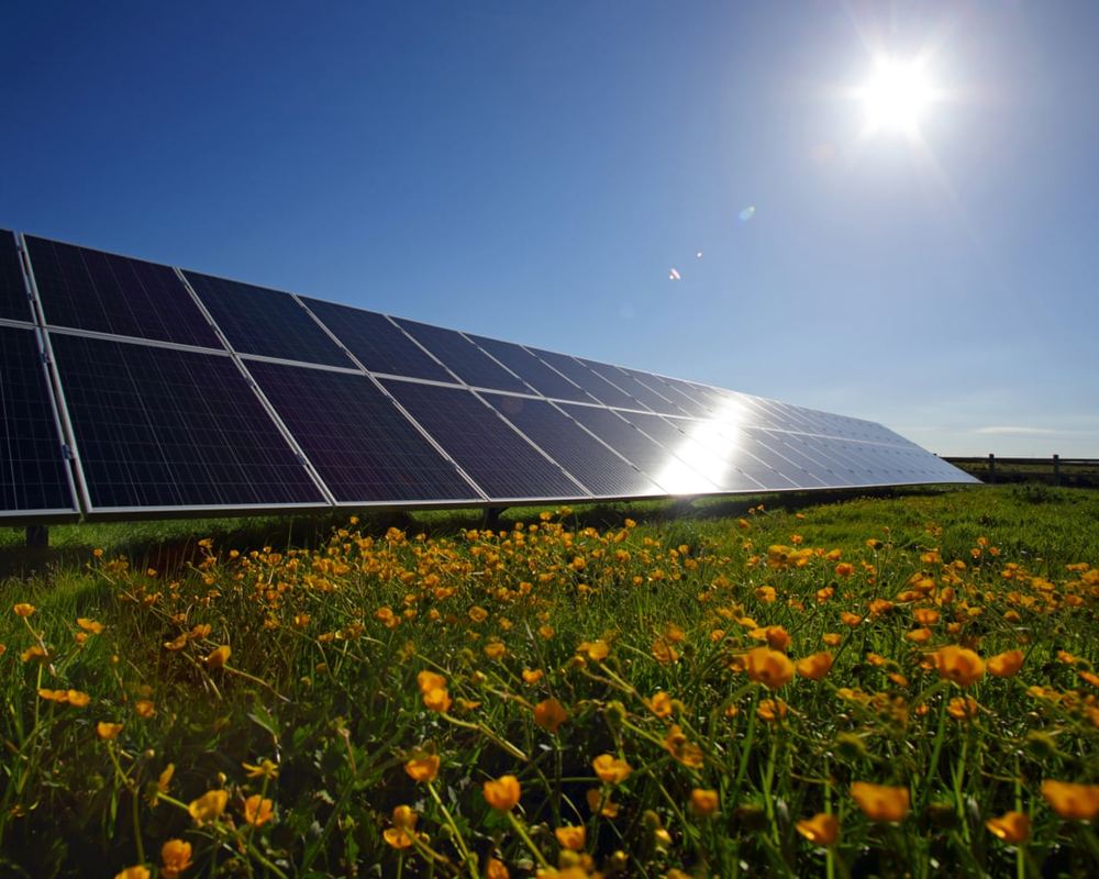 Carbon capture is a fig leaf for fossil fuel expansion | Letters