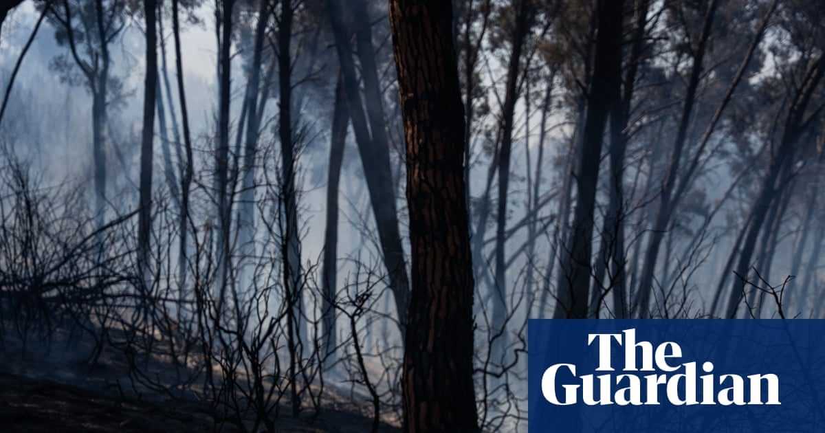 Wildfires in southern Spain kill 12 amid soaring temperatures