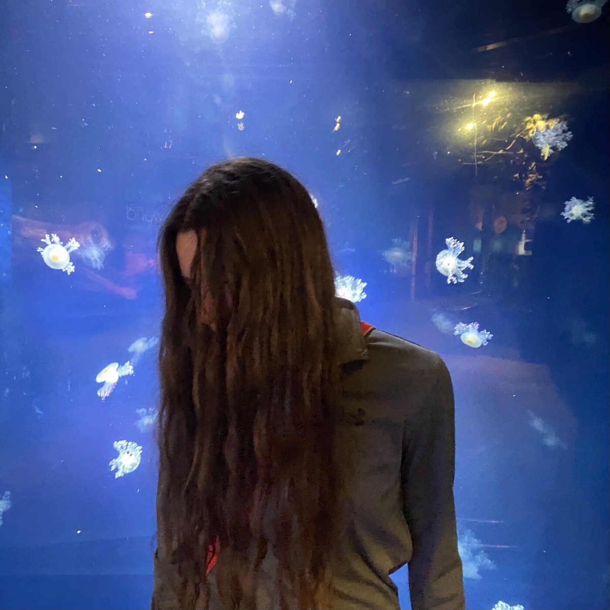 Sophia Stel – “Molly In The Club”