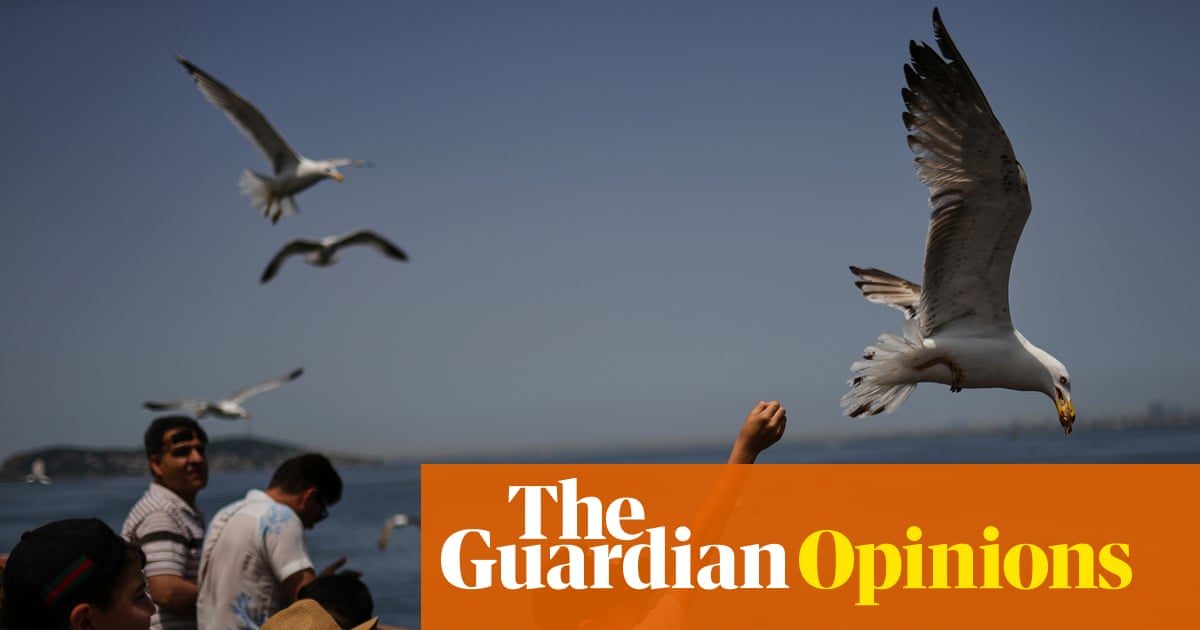 I thought my life would feel sorted when I turned 40. It doesn’t – and that’s OK | Carolin Würfel