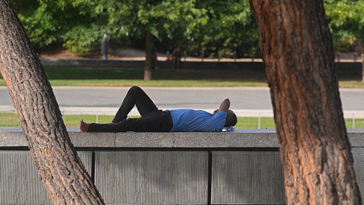 Extreme heat: Lisbon and three other districts on red alert