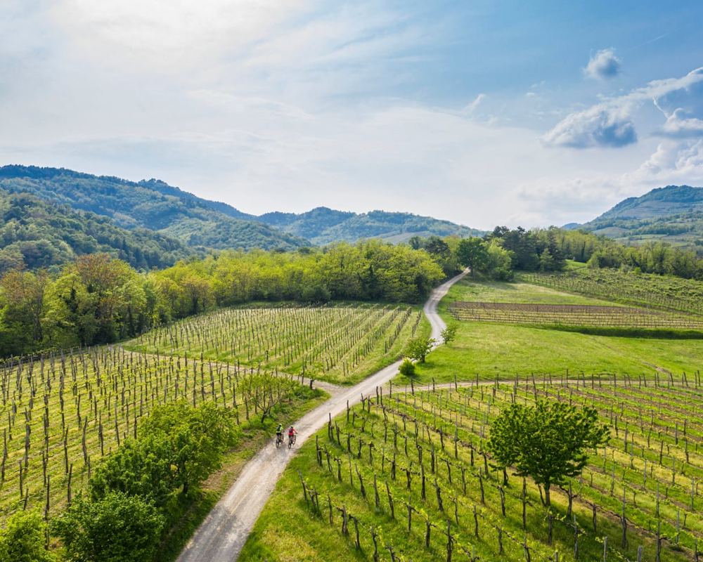 Micro-hospitality investments drive rural revival in Slovenia’s Vipava valley
